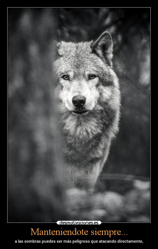 Manteniendote siempre... -