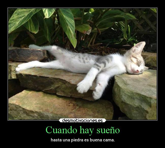 Cuando hay sueño - 