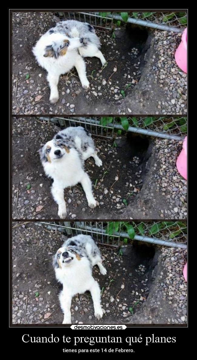 Cuando te preguntan qué planes -