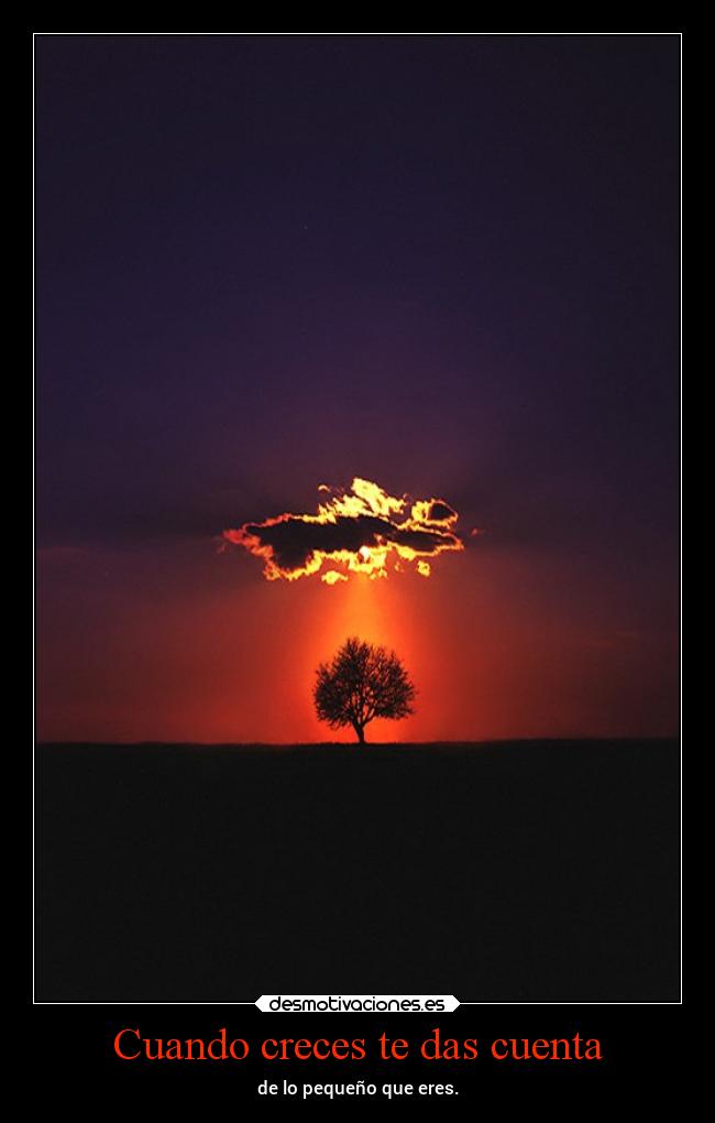 Cuando creces te das cuenta -