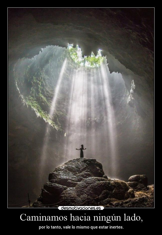 carteles desmotivaciones vida clandesplazado soyunidiotatm projectd manada32 desmotivaciones