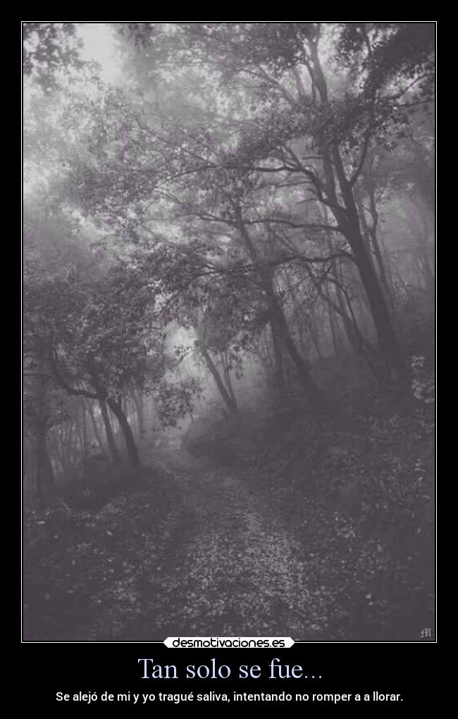 Tan solo se fue... -