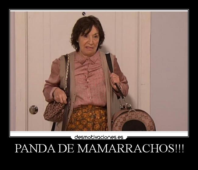 carteles enemigo dona fina panda mamarrachos desmotivaciones