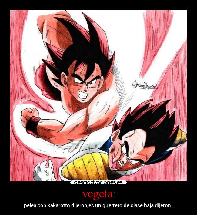 vegeta: - 