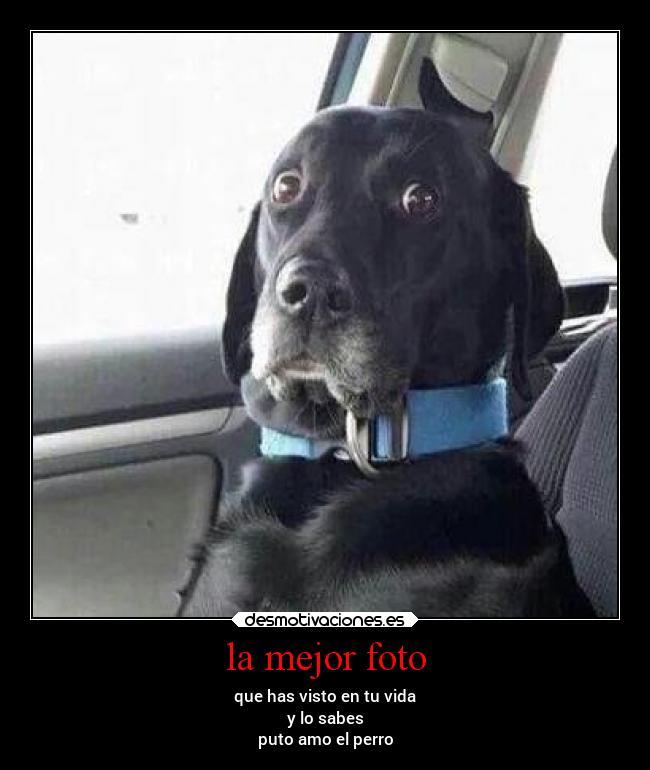 la mejor foto -