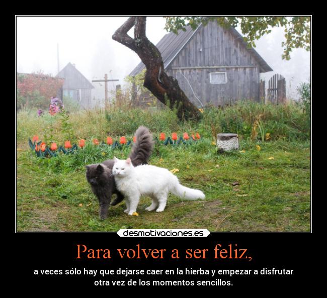 Para volver a ser feliz, - a veces sólo hay que dejarse caer en la hierba y empezar a disfrutar
otra vez de los momentos sencillos.