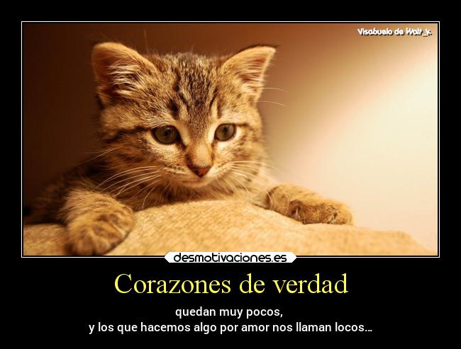 Corazones de verdad - 