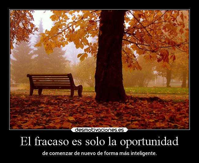 El fracaso es solo la oportunidad - 
