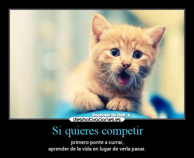 Si quieres competir - 