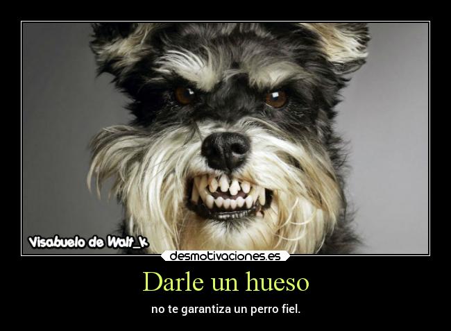 Darle un hueso - 