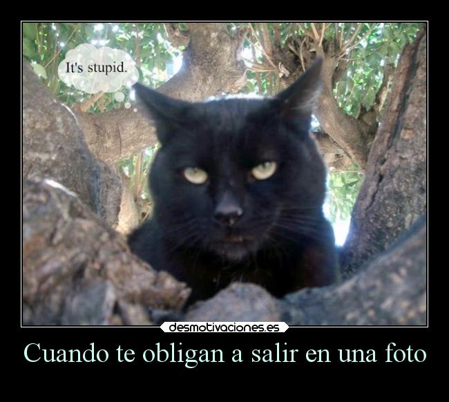 Cuando te obligan a salir en una foto - 