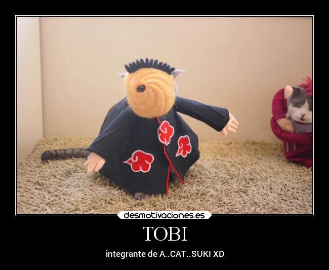 TOBI - integrante de A..CAT..SUKI XD