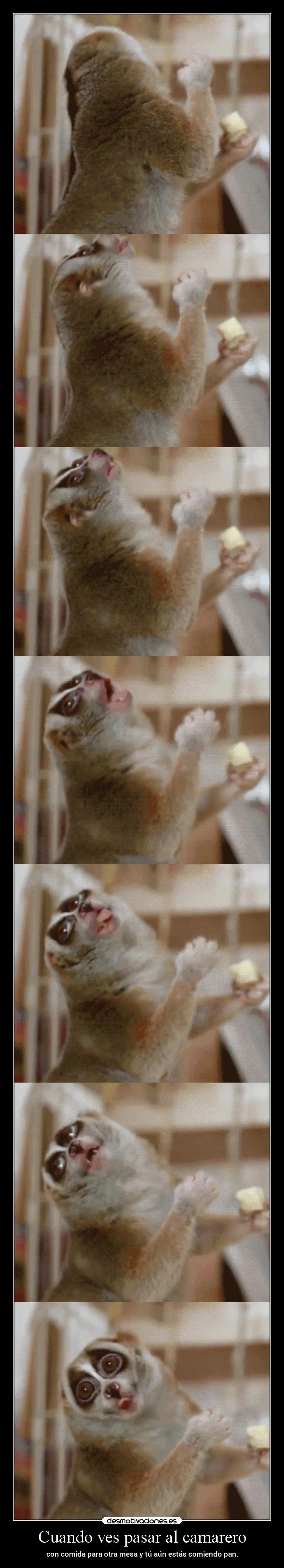 Cuando ves pasar al camarero -