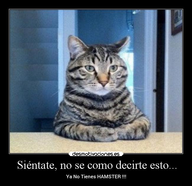 Siéntate, no se como decirte esto... - Ya No Tienes HAMSTER !!!