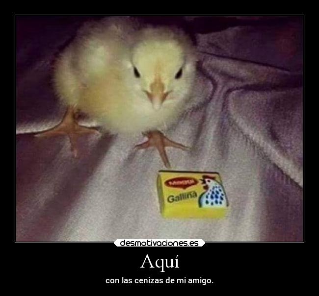 Aquí - con las cenizas de mi amigo.