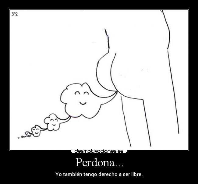 Perdona... - 