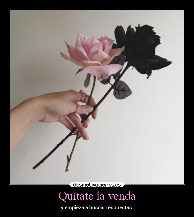 carteles ignorancia flowers yano thereasonwhyismile desmotivaciones