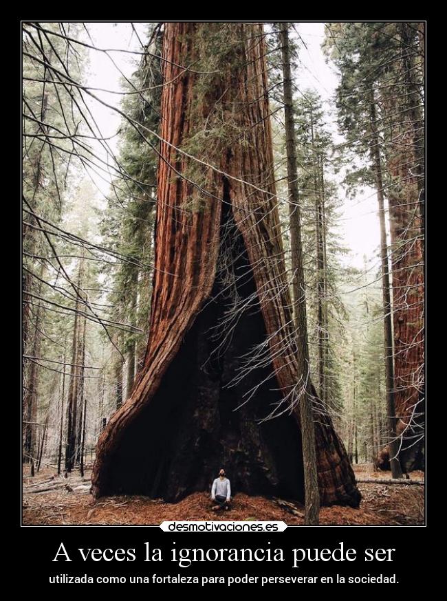 A veces la ignorancia puede ser -