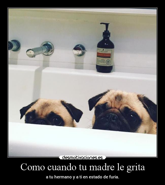 Como cuando tu madre le grita - 