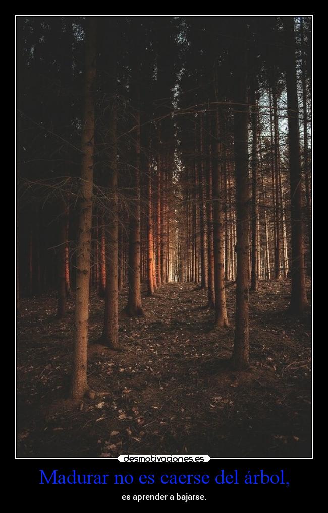 Madurar no es caerse del árbol, - 