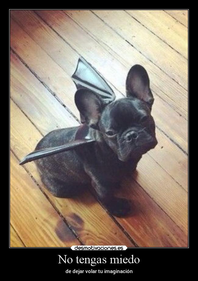 No tengas miedo - de dejar volar tu imaginación