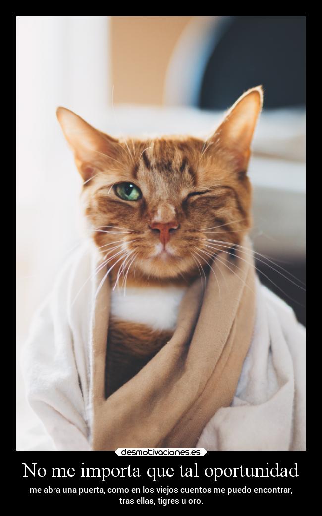 No me importa que tal oportunidad -