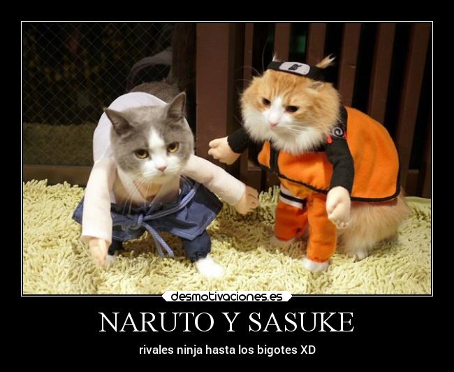 NARUTO Y SASUKE - rivales ninja hasta los bigotes XD