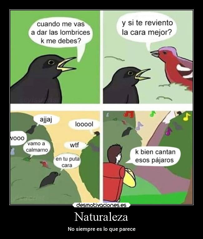 Naturaleza - No siempre es lo que parece