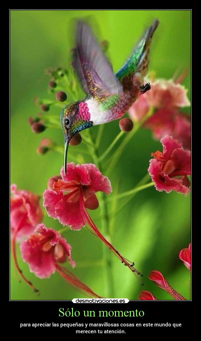 Sólo un momento -