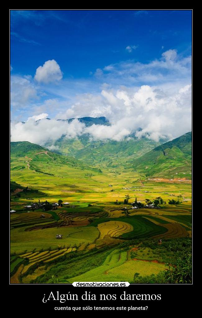 ¿Algún día nos daremos -