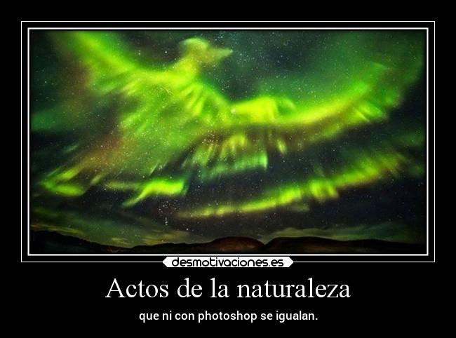 Actos de la naturaleza -