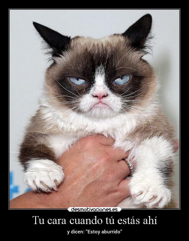 Tu cara cuando tú estás ahí - y dicen: Estoy aburrido