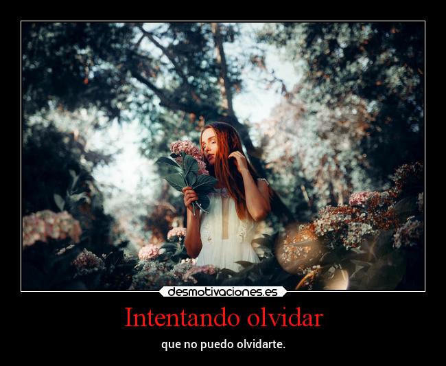 carteles olvidar amor echodemenostuvoz tusbesos desmotivaciones