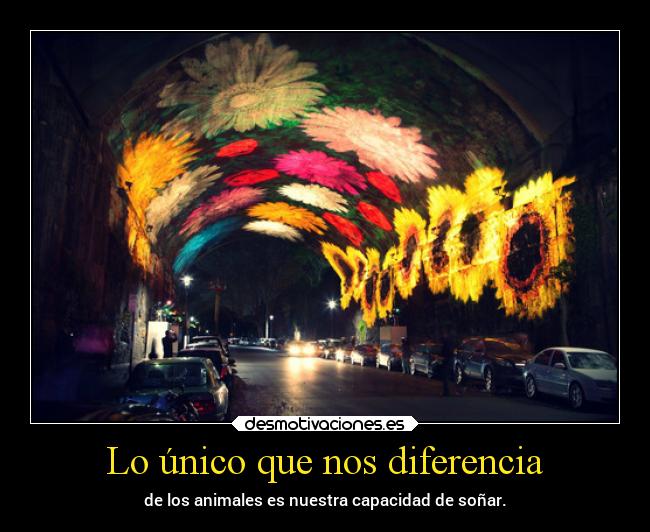 Lo único que nos diferencia - de los animales es nuestra capacidad de soñar.
