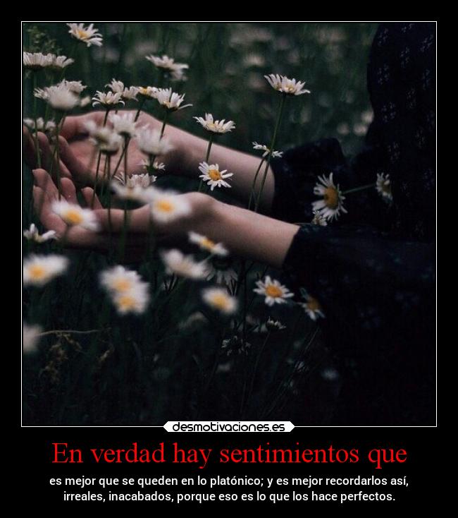 En verdad hay sentimientos que - es mejor que se queden en lo platónico; y es mejor recordarlos así,
irreales, inacabados, porque eso es lo que los hace perfectos.