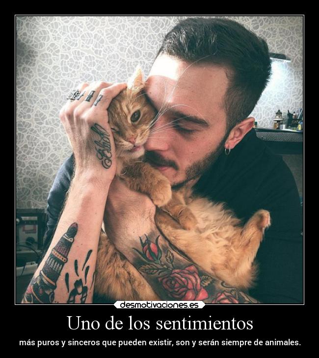 Uno de los sentimientos -
