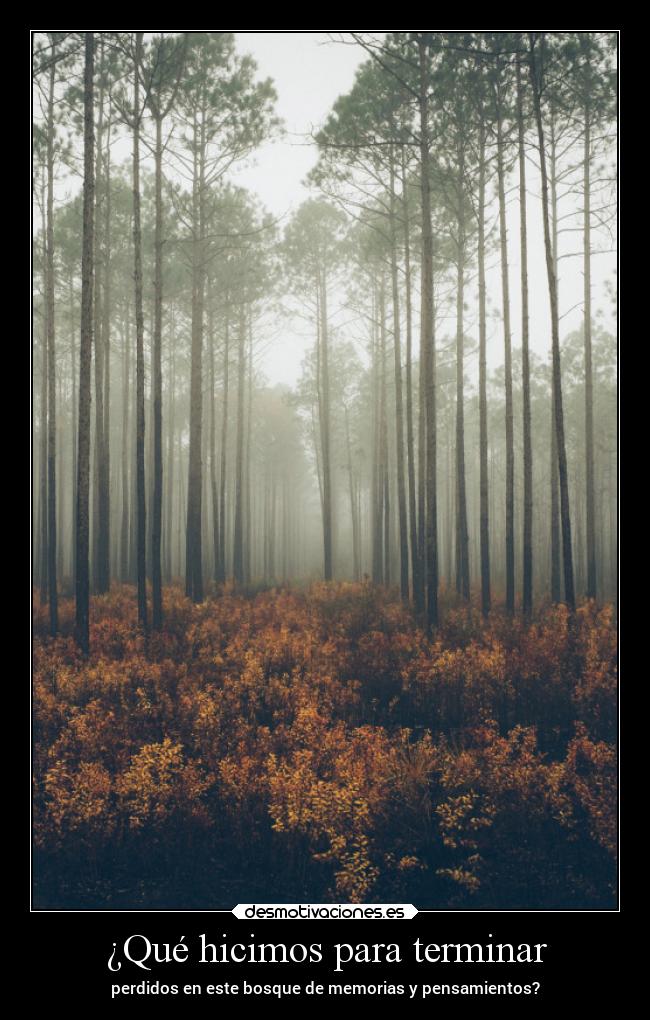 ¿Qué hicimos para terminar - perdidos en este bosque de memorias y pensamientos?