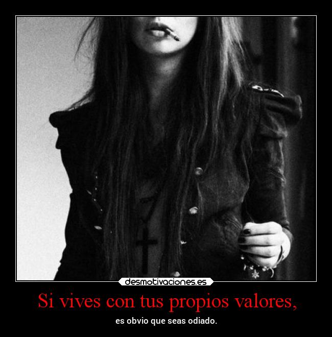 carteles sociedad valores amado odiado desmotivaciones