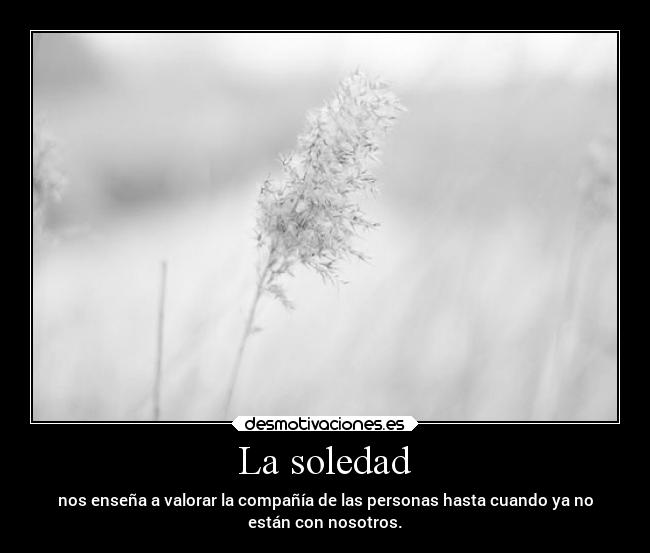 La soledad - nos enseña a valorar la compañía de las personas hasta cuando ya no
están con nosotros.