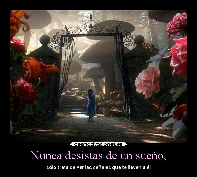Nunca desistas de un sueño, -