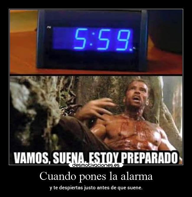 Cuando pones la alarma - 