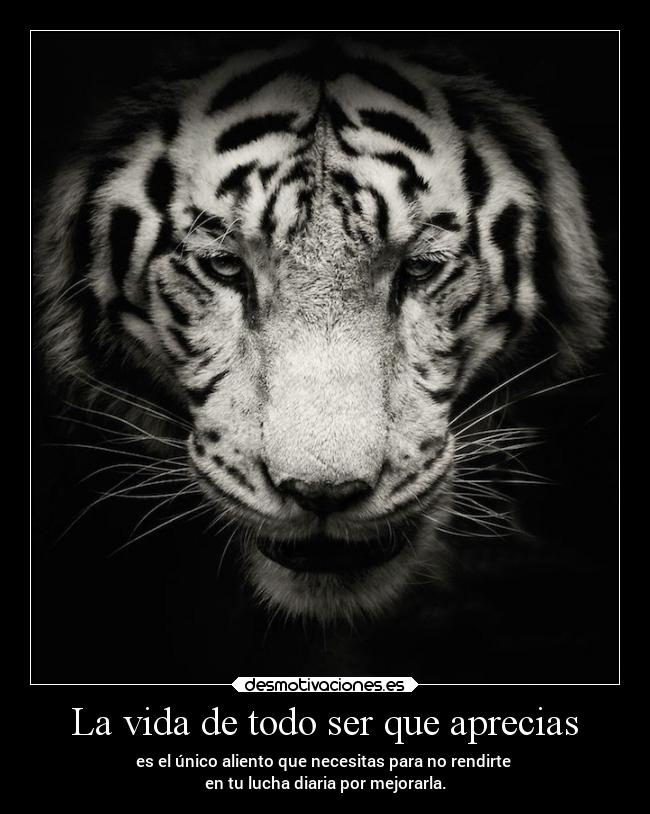 La vida de todo ser que aprecias - 