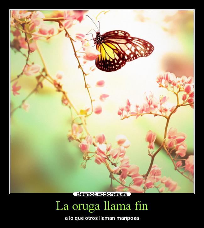 carteles vida alma oruga fin mariposa desmotivaciones