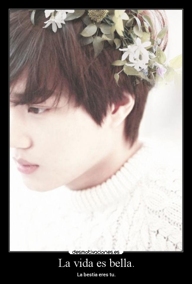 La vida es bella. - La bestia eres tu.