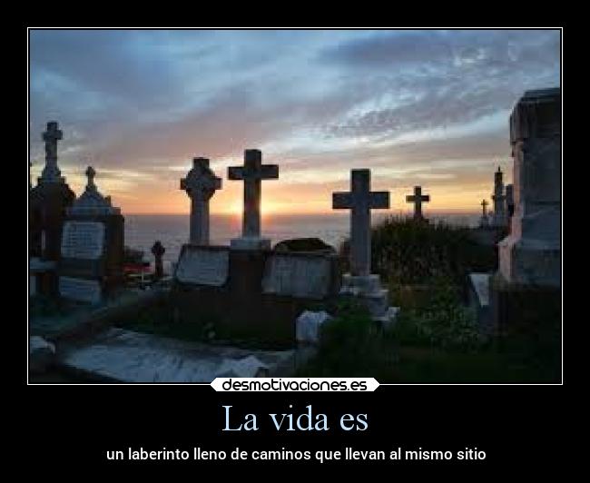 La vida es - 