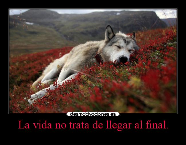 La vida no trata de llegar al final. -