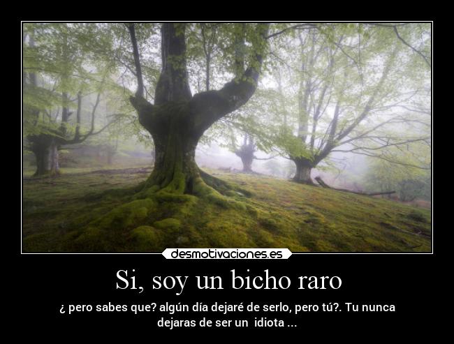 Si, soy un bicho raro - ¿ pero sabes que? algún día dejaré de serlo, pero tú?. Tu nunca
dejaras de ser un idiota ...