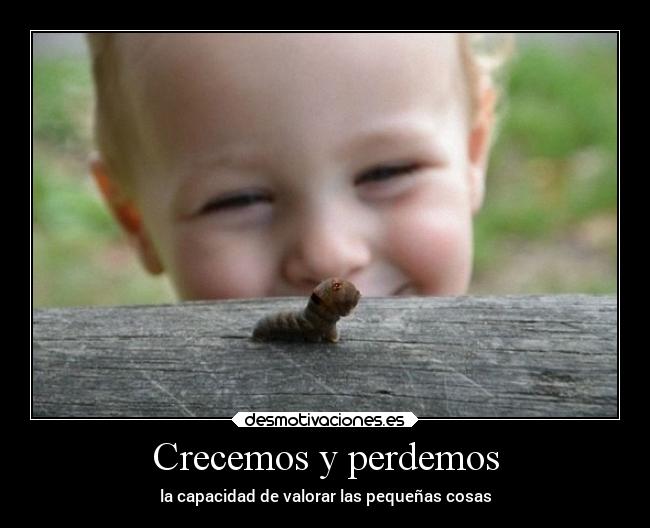 carteles vida crecer perder capacidad pequena cosas valorar desmotivaciones