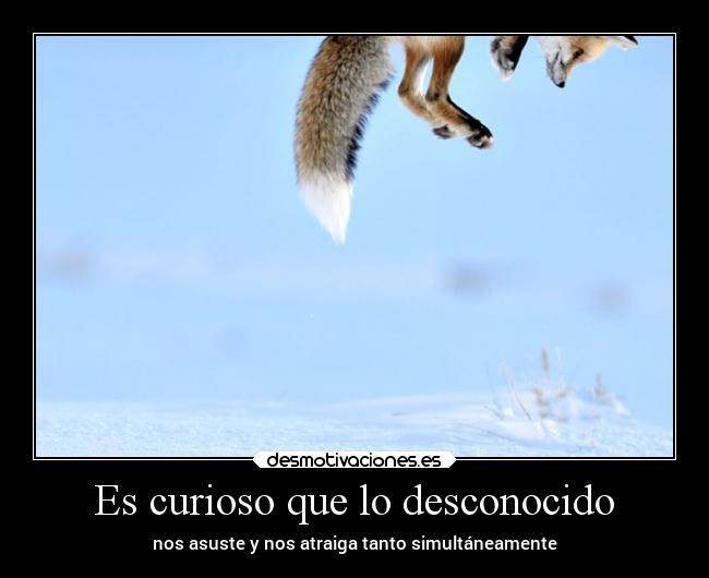 Es curioso que lo desconocido -