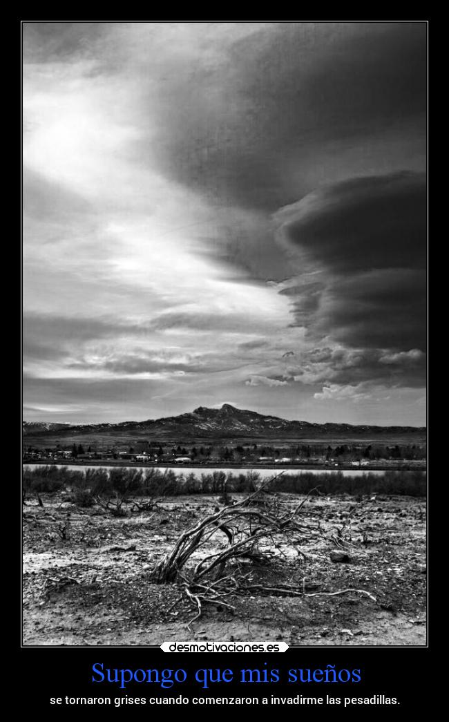 Supongo que mis sueños -